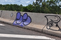 Trecho da rodovia Euclides da Cunha (SP-320) pichado