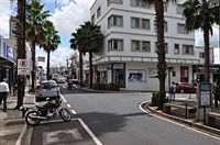 Ao todo serão plantadas 17 palmeiras de saia (Washingtonia filifera) e instalados nove bancos, seis lixeiras e duas floreiras, tudo nos moldes do trecho já revitalizado (Foto: Divulgação/Prefeitura de Votuporanga)