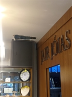 Ladrões invadem joalheria de Votuporanga e levam R$ 400 mil em joias