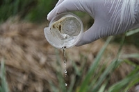 Em Votuporanga, até o momento, foram registradas 2.121 pessoas com a doença (Foto: Reprodução)