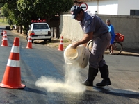 Homens do Corpo de Bombeiros utilizaram pó de serragem para amenizar o problema