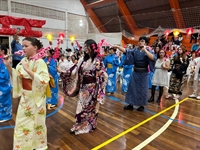 Votuporanga sedia tradicional festa da cultura japonesa