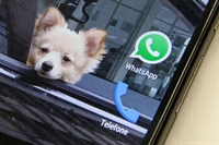 Ícone do Whatsapp, um dos aplicativos de conversa mais populares do mundo, é visto na tela de um smartphone (Foto: Fábio Tito/G1)