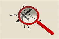 O curso terá início às 14h, na sala de reuniões da Secretaria Municipal da Saúde (Foto: Divulgação/Prefeitura de Votuporanga)