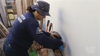 Agente procura por criadouros do mosquito Aedes aegypti em Votuporanga (Foto: Reprodução/TV TEM)