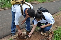 A ação começou nesta segunda-feira (11/02) e segue até o dia 25 de fevereiro (Foto: Prefeitura de Votuporanga)
