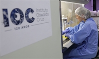 Dados foram divulgados nesta quinta-feira (19) (Divulgação/Josué Damacena (IOC/Fiocruz)
