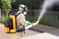 Votuporanga registra mais de 700 casos de dengue em um mês (Prefeitura de Votuporanga)