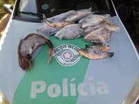 De acordo com a PMA, os produtos apreendidos foram doados para entidades assistenciais (Foto: Votuporanga Tudo)