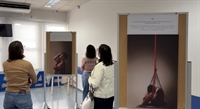 Exposição “Metamorfose” é lançada no Sebrae-SP de Votuporanga e deve percorrer municípios da região
