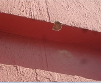 O tiro acabou acertando a parede de uma empresa de calhas