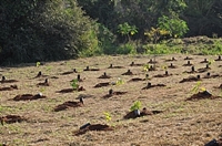 (Foto: Divulgação/Prefeitura de Votuporanga)
