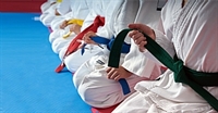 Os atletas disputaram as modalidades Kata Formas, Kumite Lutas e Kobudo Armas, e conquistaram resultados expressivos (Foto: Prefeitura de Votuporanga)
