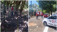 As forças policiais foram acionadas depois de moradores das proximidades do local escutarem um suposto rugido do animal (Foto: Divulgação/Bombeiros)