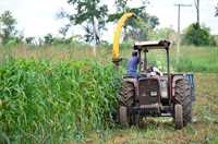 O objetivo do programa é elevar a produção de alimentos (Foto: Divulgação/Prefeitura de Votuporanga)