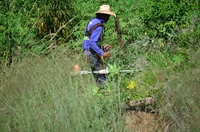 A equipe de fiscalização da Secretaria da Fazenda vistoria cerca de 12 mil em cada etapa (Foto: Divulgação/Prefeitura de Votuporanga)