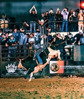 Touro Acesso Negado é confirmado na segunda edição do Votu International Rodeo