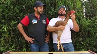 Betina de Diamante tem um ano de idade e mais de um metro de altura (Foto: Reprodução/YouTube Diamante Índio Gigante)