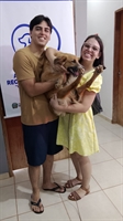 Mais de 150 animais são adotados em Votuporanga nos últimos sete meses