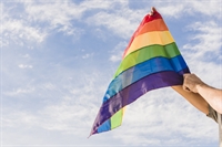 Pasta tem como foco atender o público LGBTQI+ e apoiar ações voltadas a dignidade e respeito ao próximo (Foto: Reprodução/Prefeitura de Votuporanga)