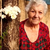 Maria do Carmo Silva Davanço, 85 anos (Foto: Arquivo Pessoal)