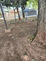 Moradores pedem melhorias em praça da cidade