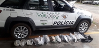 A Polícia Ambiental multou um homem que mantinha mais de 30 kg de peixes estocados irregularmente e que criava tartarugas em cativeiro (Foto: Divulgação)