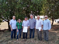Após liberação de Alvará, loja será construída em até 90 dias (Foto: Câmara de Votuporanga)