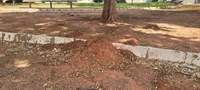 Moradores cobram melhorias em praça da zona Sul de Votuporanga
