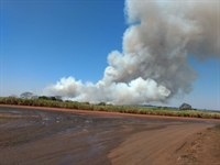 A criança, que morava em uma propriedade rural com a família, passou mal durante um incêndio que atingiu uma área próxima (Foto: Divulgação/Defesa Civil de Valentim Gentil)