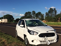 A condutora do carro, um Ford KA, de cor branca, trafegava sentido Votuporanga/Nhandeara (Foto: Aline Ruiz/A Cidade)