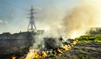 A empresa destaca que a prevenção de incêndios é responsabilidade de todos e ressalta algumas orientações (Foto: Neoenergia Elektro)