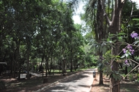 (Foto: Divulgação/Prefeitura de Votuporanga)
