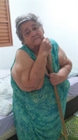 Teresa Daniel de Paula Schreiner, 82 anos (Foto: Arquivo pessoal)