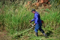 O fiscal fotografa o lote antes de executar o serviço; roçada é feita por meio de trator e roçadeira manual (Foto: Prefeitura de Votuporanga)