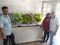 As verduras hidropônicas foram produzidas pelos alunos da graduação, na área de cultivo agrícola da Instituição, localizada na Cidade Universitária (Foto: Unifev)