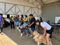 Após ‘Pet Day’, Votuporanga sedia novo encontro regional da causa animal