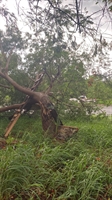  Onda de calor pode dar lugar a novas tempestades em Votuporanga e até o Tiro de Guerra foi colocado em prontidão em caso de desastres (Foto: A Cidade)