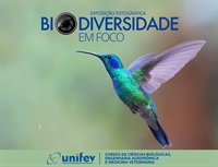 (Foto: Divulgação/Unifev)