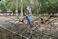 Equipes da Saev e Prefeitura fizeram uma força-tarefa para retirar as árvores caídas na cidade (Foto: Prefeitura de Votuporanga)