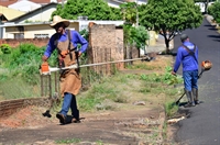 O trabalho ocorre três vezes ao ano, entre março e abril (Foto: Divulgação/Prefeitura de Votuporanga)