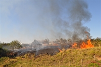 Segundo o Corpo de Bombeiros de Votuporanga, até as 15h40, o fogo havia atingido uma área de cerca de 2 mil m² às margens de um córrego e em pastagem (Foto: Gabriele Reginaldo/A Cidade)