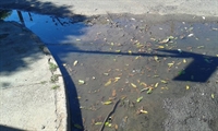 (Foto: A Cidade)