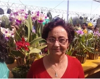 Falece Olivia Onibeni da Silva, aos 72 anos