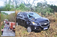 A árvore caiu perto do trevo de Nhandeara e o carro capotou alguns quilômetros antes (Foto: A Cidade/redes sociais)