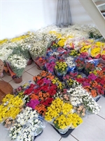 A maioria das floriculturas de Votuporanga espera que as vendas deste ano supere 2018 (Foto: Divulgação/Joãozinho Flores)