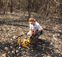 A engenheira ambiental Fabiana Agostine Preti e seu esposo Dácio Preti Junior, realizam a ação (Foto: Arquivo Pessoal)