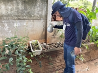 Mesmo com alerta de epidemia e o surgimento do sorotipo 3 de dengue, agentes estão sendo impedidos de vistoriar casas (Foto: Prefeitura de Votuporanga)