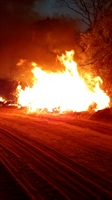 As guarnições foram deslocadas para o incêndio por volta das 11h e regressaram a base à 1h30 desta segunda-feira (18) (Foto: Divulgação/Corpo de Bombeiros)