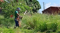 Os proprietários de terrenos encontrados com mato alto serão autuados (Foto: Divulgação/Prefeitura)
